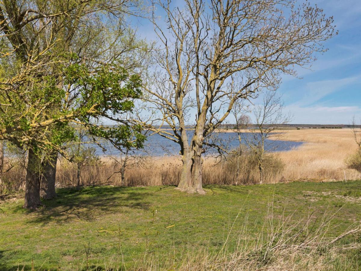 Elegant Apartment With Garden In Gingst Exteriör bild